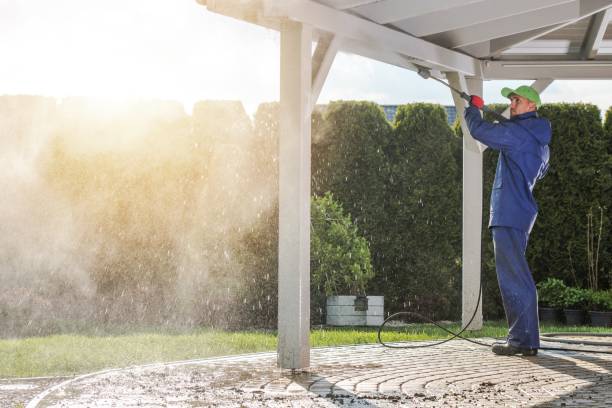 Best Factory Floor Cleaning  in Salida, CO