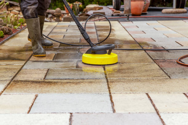 Best Building Exterior Washing  in Salida, CO
